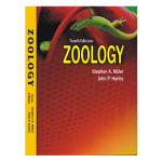 Zoology 10th Edition by Stephen Miller