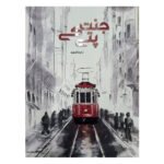 Jannat Kay Pattay / جنت کے پتے by Nimrah Ahmed