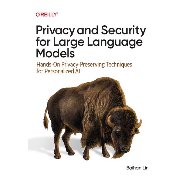 Privacy and Security for Large Language Models by Baihan Lin