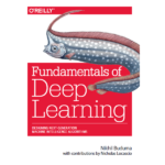 Fundamentals of Deep Learning by Nikhil Buduma